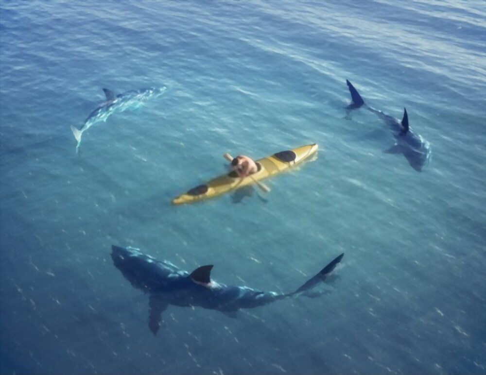 ataque de tiburon 